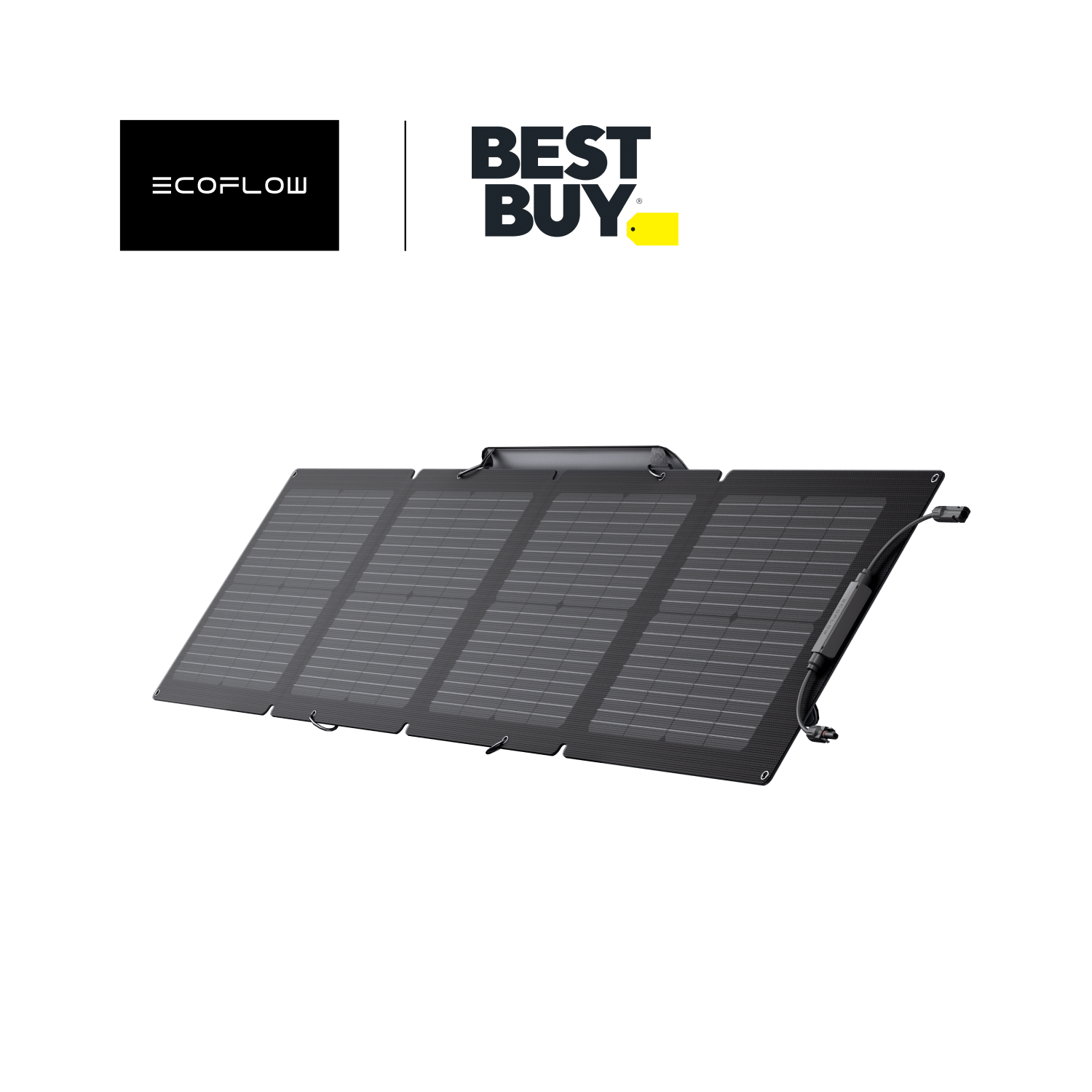 Load image into Gallery viewer, EcoFlow US Solar Panels 110W Portable Solar Panel TEST - EcoFlow Foldable 110W Solar Panel (Best buy pick-up)