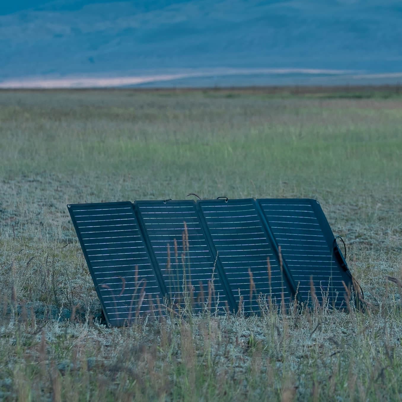 Load image into Gallery viewer, EcoFlow EcoFlow 160W Portable Solar Panel