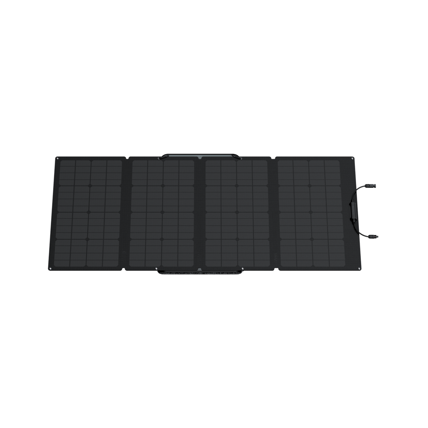 Load image into Gallery viewer, EcoFlow EcoFlow 160W Portable Solar Panel