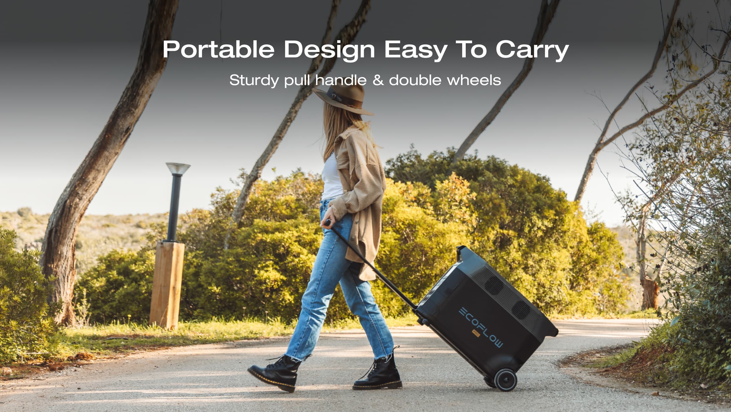 EcoFlow DELTA Pro Portable Power Station