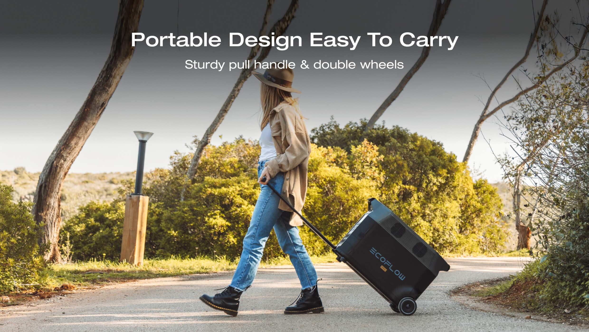 EcoFlow DELTA Pro Portable Power Station