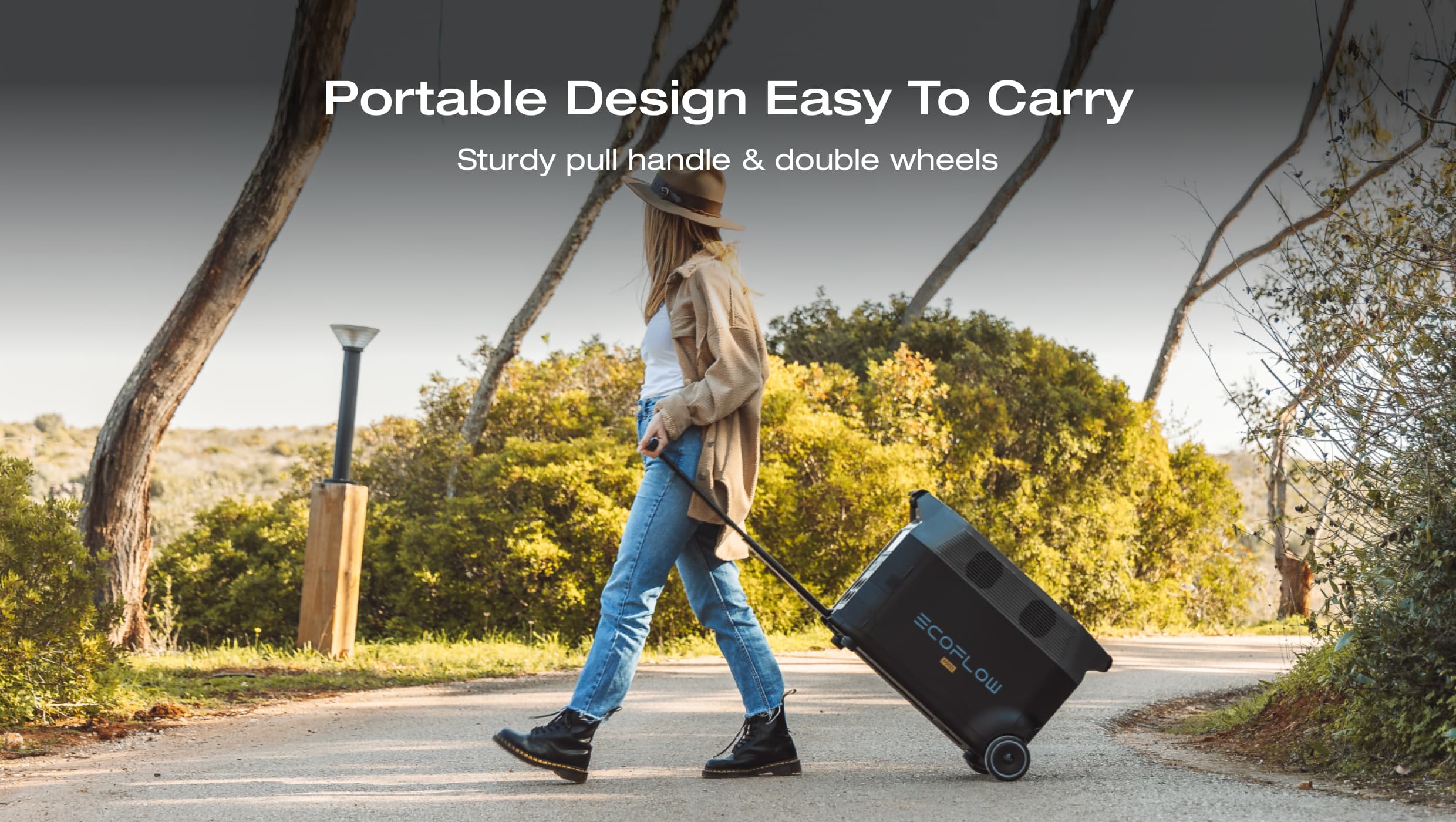 EcoFlow DELTA Pro Portable Power Station