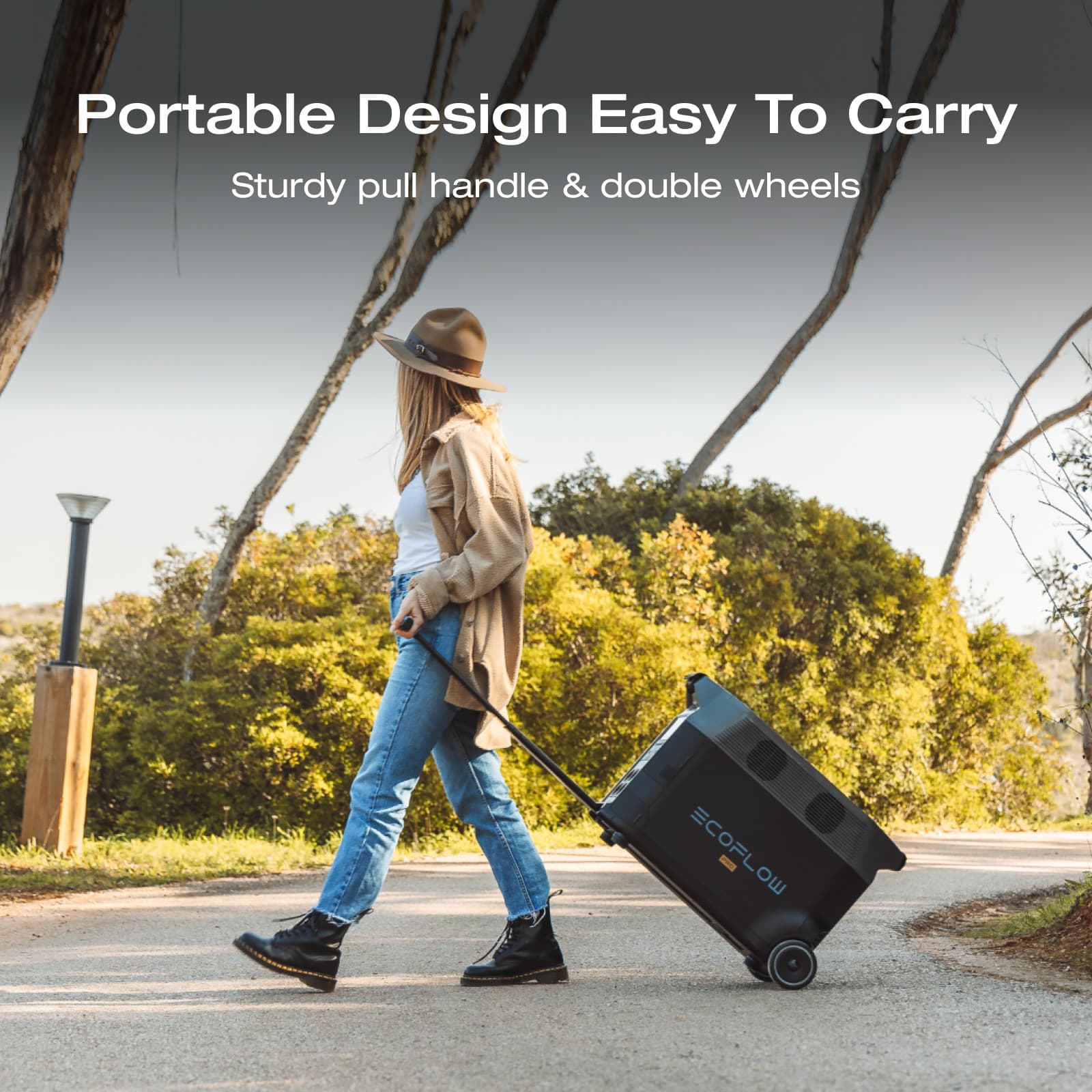 EcoFlow DELTA Pro Portable Power Station
