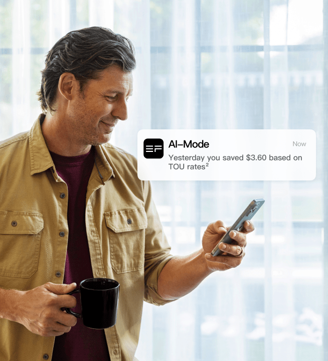 Smart Saving with AI TOU Mode