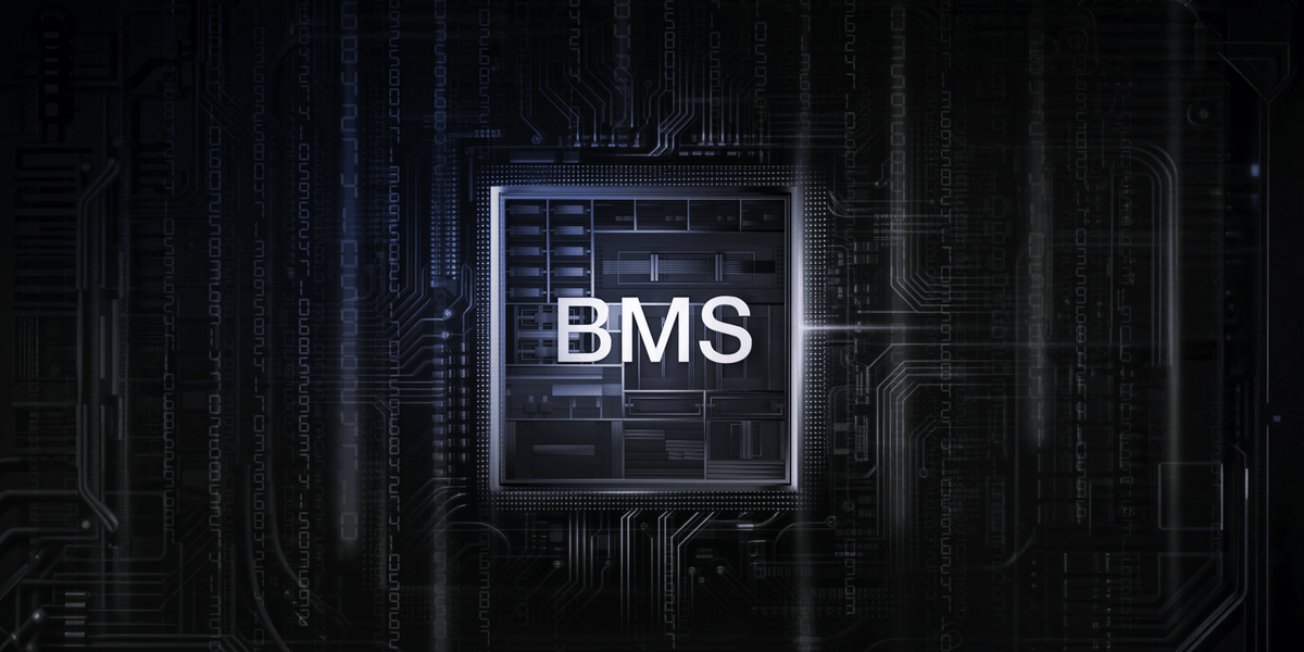 Dual BMS Protection