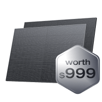 [Add $699 More]