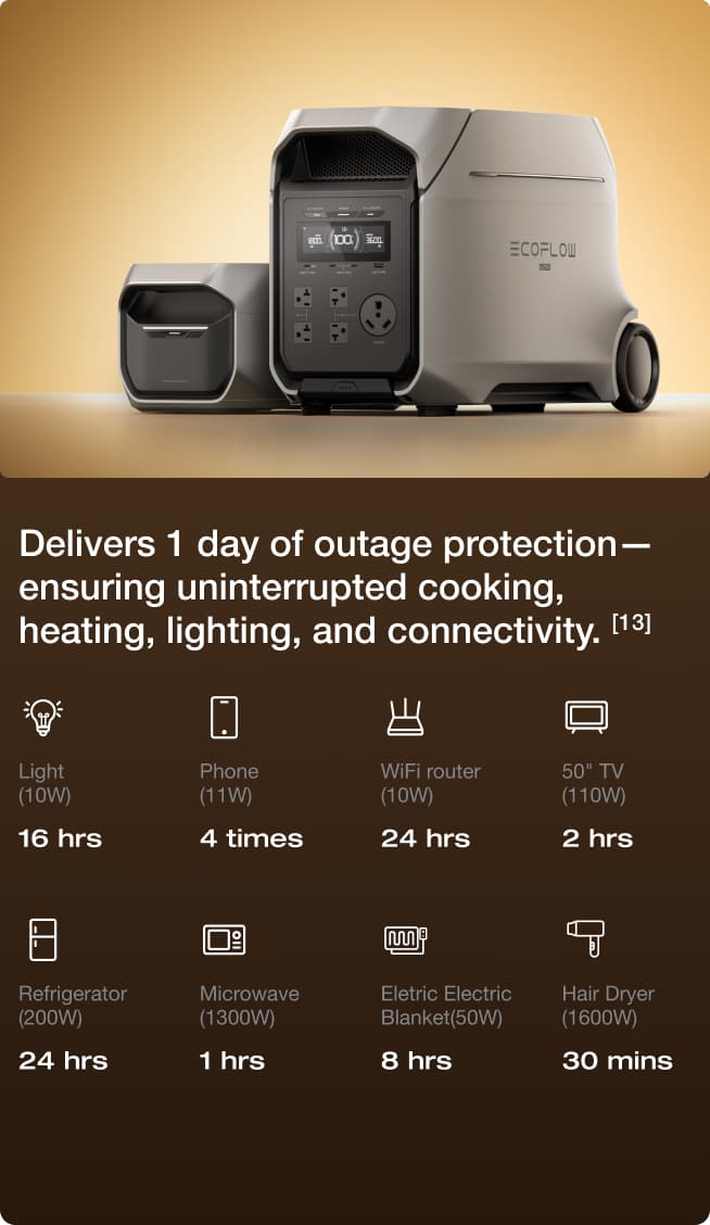 1-Day Outage