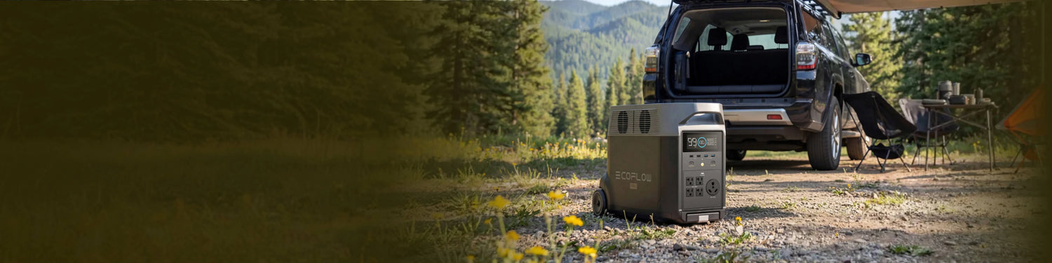 EcoFlow DELTA Pro