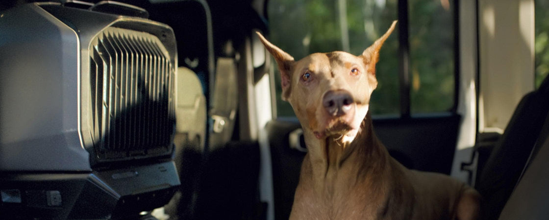 Intelligent Modes for Maximum Comfort