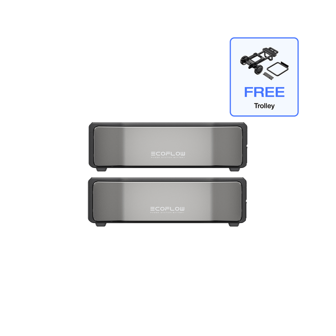EcoFlow DPUX ACC 2 x DELTA Pro Ultra Series Smart Extra Battery EcoFlow DELTA Pro Ultra Series Smart Extra Battery