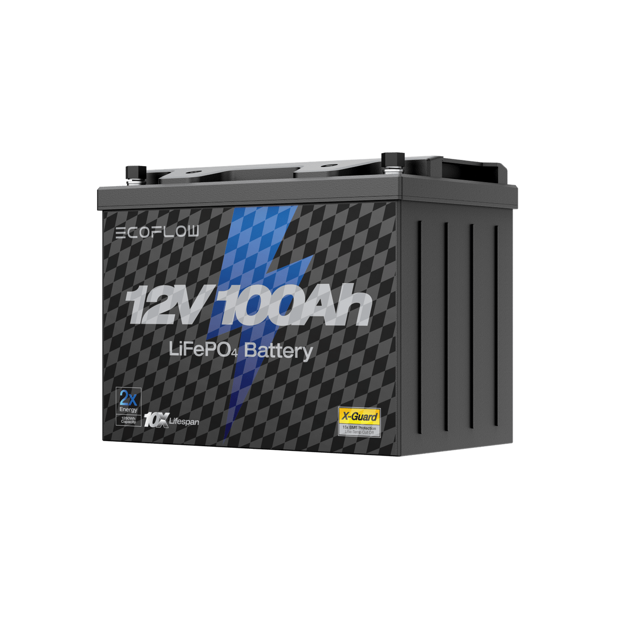 12V 100Ah Deep Cycle LiFePO4 Battery EcoFlow EcoFlow Lithium 12V