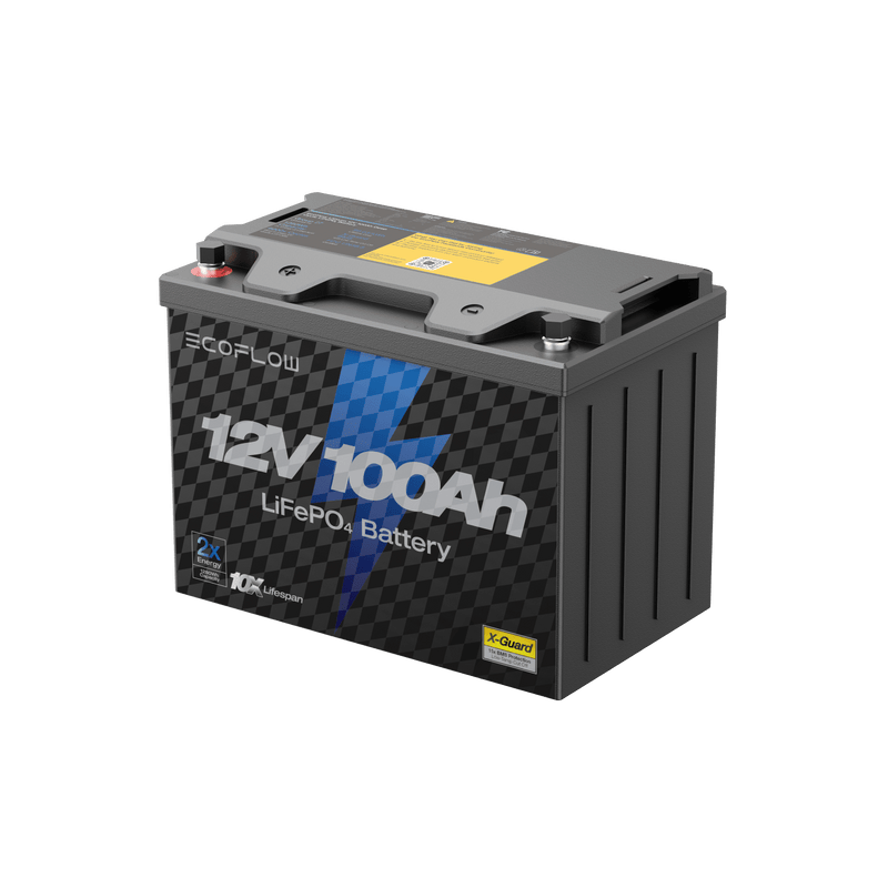 Load image into Gallery viewer, EcoFlow EcoFlow Lithium 12V 100Ah Deep Cycle LiFePO4 Battery
