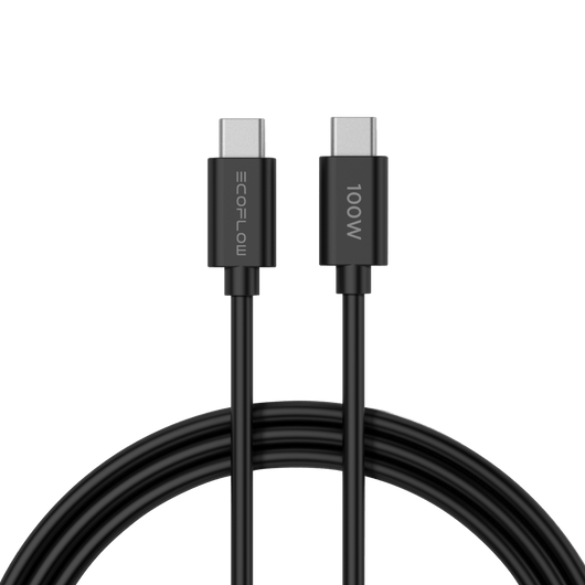 EcoFlow Accessory RAPID 65W GaN Charger with 100W Cable EcoFlow RAPID 65W GaN Charger with 100W Cable