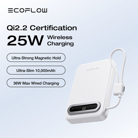 EcoFlow EcoFlow RAPID Mag Power Bank (Built-in USB-C Cable)