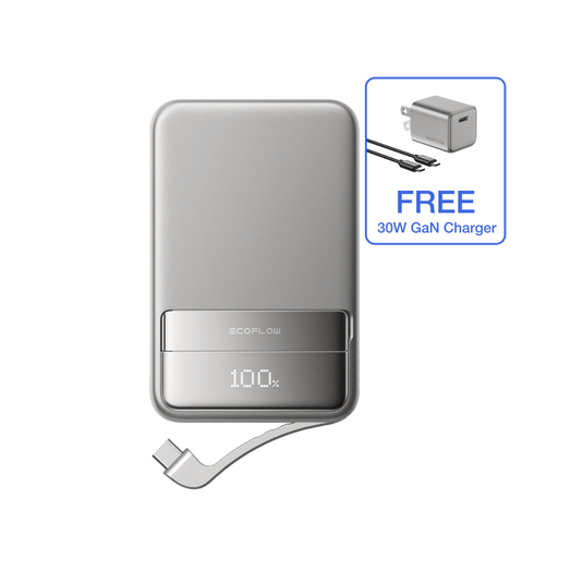 EcoFlow 10000 mAh / Silver / FREE 30W Charger EcoFlow RAPID Magnetic Power Bank (10000mAh)