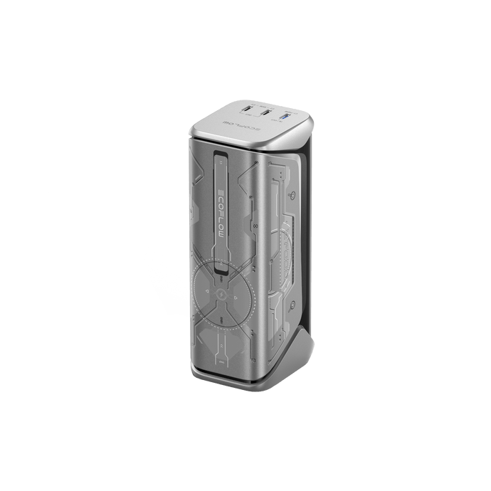 EcoFlow Accessory Ecoflow RAPID Pro X Power Bank Case