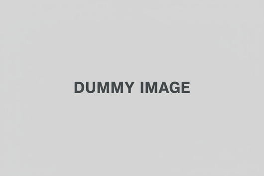 EcoFlow US CJ Test 2 CJ Test (don't buy)_EcoFlow RAPID Pro X Power Bank (27,650mAh, 300W）