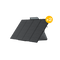 Load image into Gallery viewer, EcoFlow US Giving Back 400W Portable Solar Panel*2 EcoFlow 2 x 400W Portable Solar Panel (Recommended Accessory)
