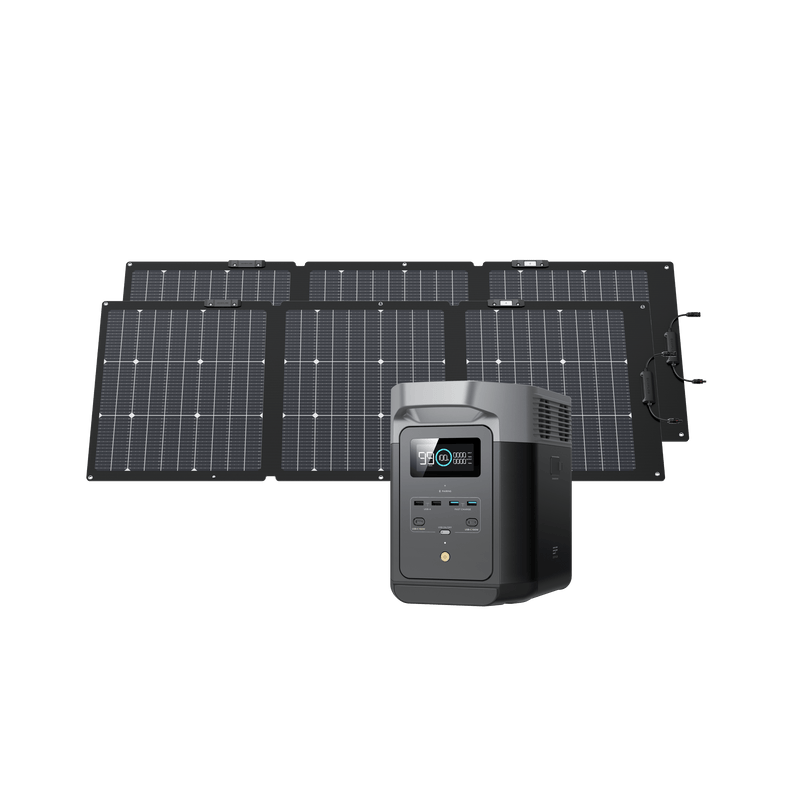 Load image into Gallery viewer, EcoFlow US Bundle 2*160W + DELTA 2 EcoFlow DELTA 2 + 160W Portable Solar Panel
