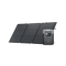 Load image into Gallery viewer, EcoFlow US Bundle EcoFlow DELTA 2 + 160W Portable Solar Panel
