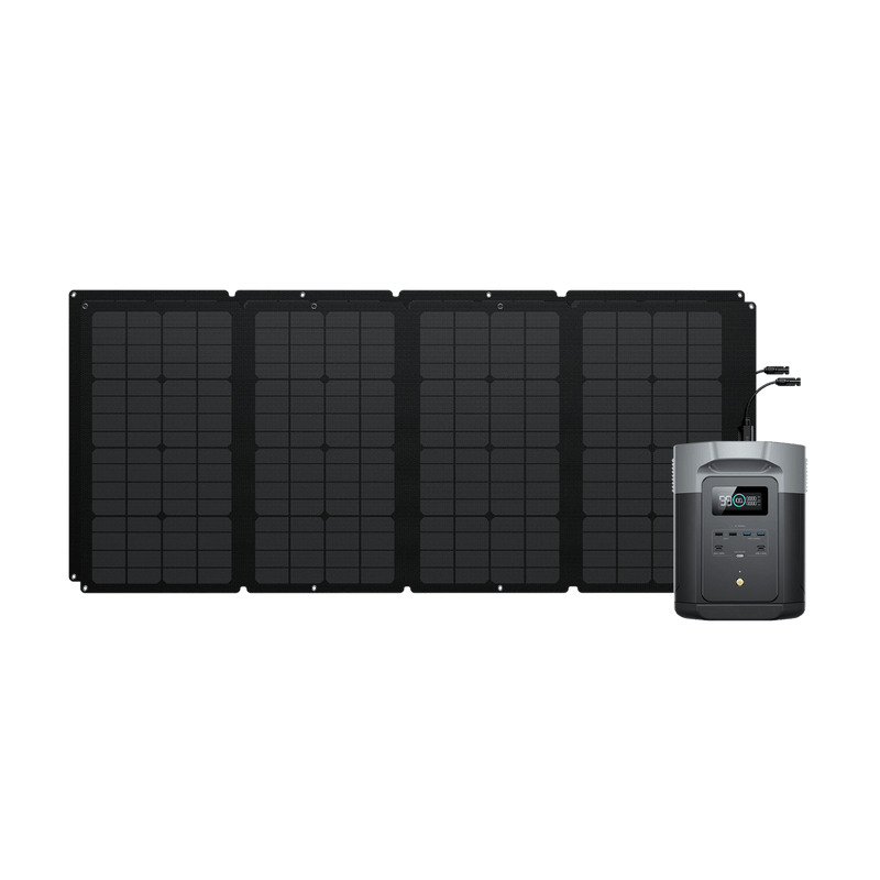 EcoFlow DELTA 2 1000Wh Portable Power Station w/ 160W Solar Panel 