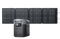 Load image into Gallery viewer, EcoFlow US D2M-bundle 1*220W + DELTA 2 Max EcoFlow DELTA 2 Max Solar Generator (PV220W)
