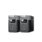 Load image into Gallery viewer, EcoFlow US delta_2 2 × DELTA 2 EcoFlow DELTA 2 Portable Power Station
