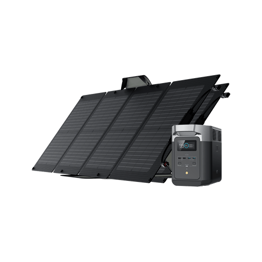 EcoFlow US Standalone DELTA 2 + 2 × 110W Solar Panel EcoFlow DELTA 2 Portable Power Station