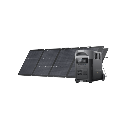 EcoFlow US DP DELTA Pro + 2*220W Portable Solar Panel EcoFlow DELTA Pro Portable Power Station