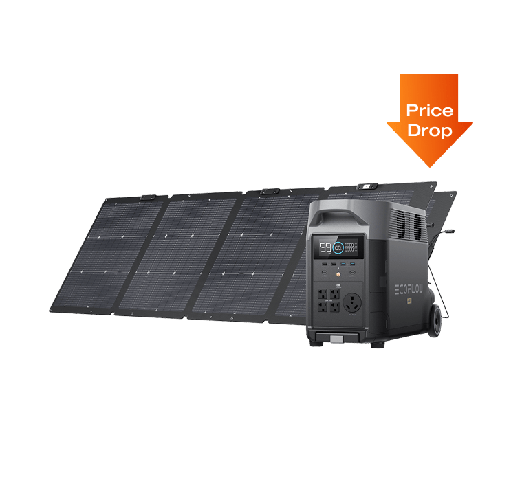 EcoFlow US DP DELTA Pro + 2 x 220W Portable Solar Panel EcoFlow DELTA Pro Portable Power Station
