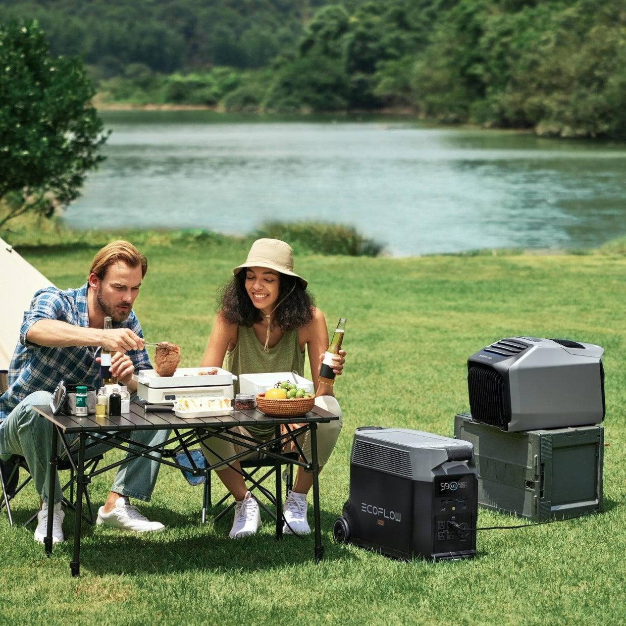 EcoFlow US EcoFlow WAVE 2 + DELTA Pro