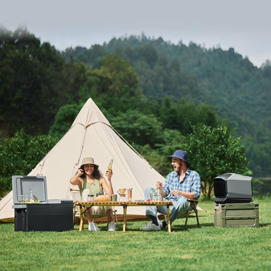 EcoFlow US EcoFlow WAVE 2 + GLACIER