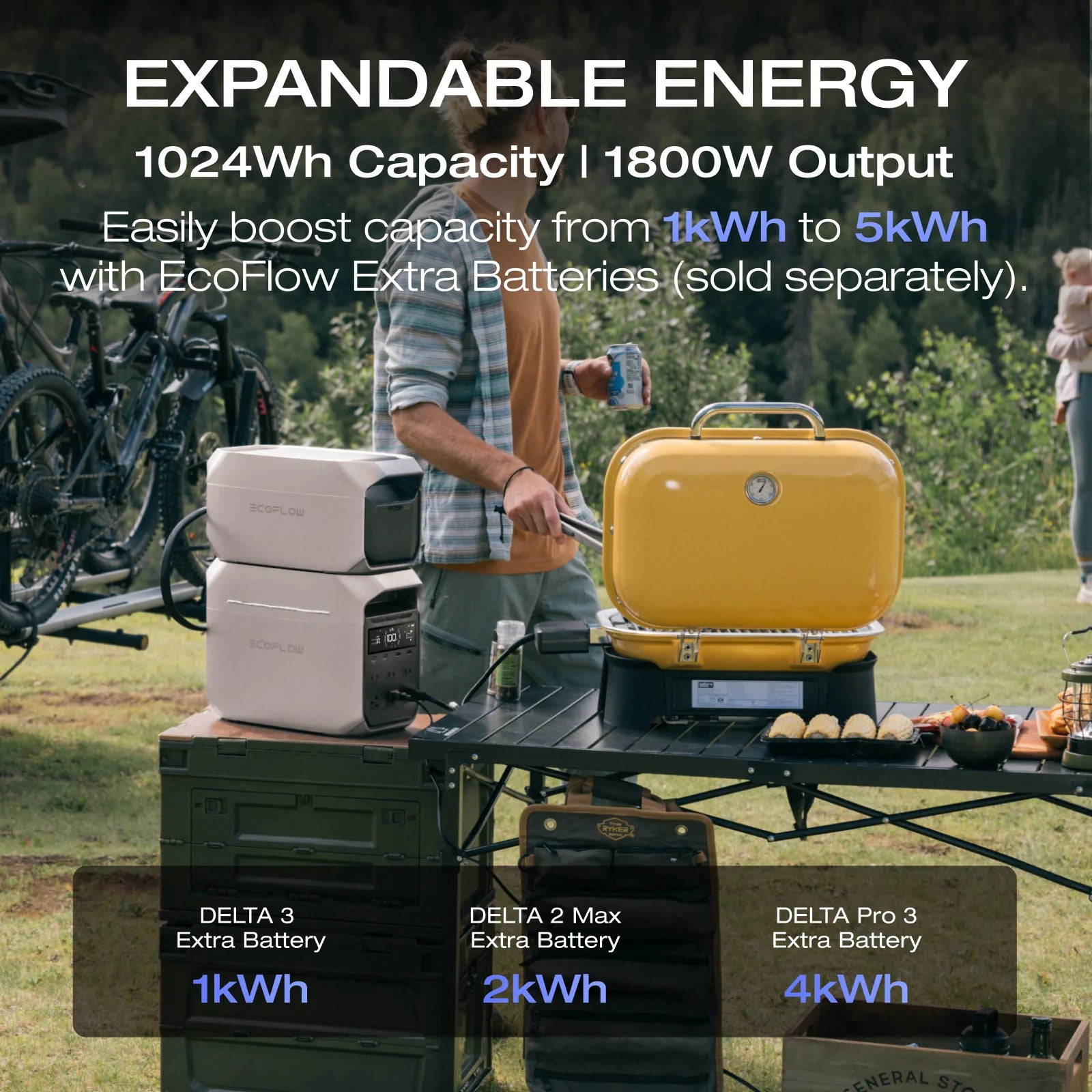 EcoFlow DELTA 3 Plus Portable Power Station
