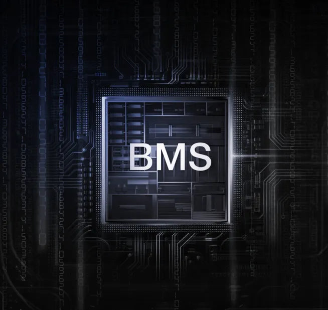 Dual BMS Protection