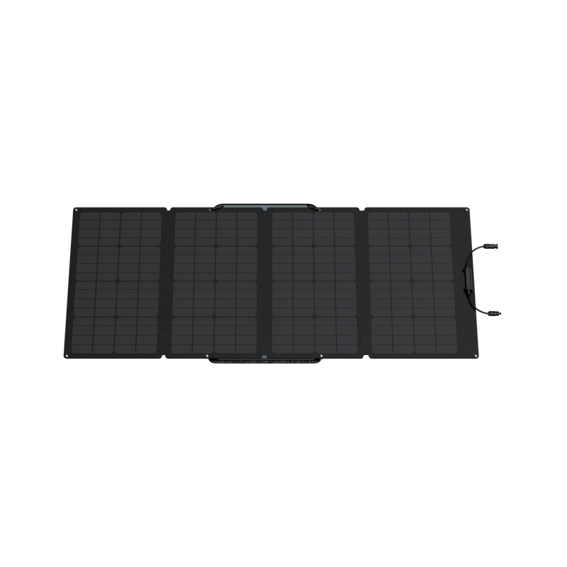 Load image into Gallery viewer, EcoFlow EcoFlow 160W Portable Solar Panel
