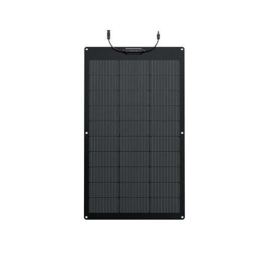Kit panneau solaire flexible MPPT EcoFlow 2 x 100W
