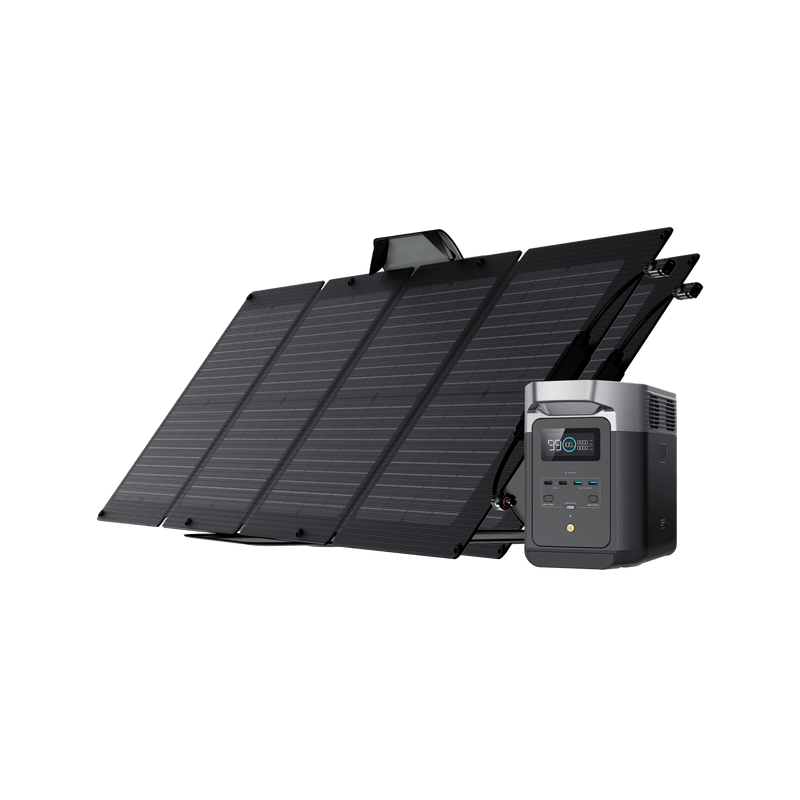 Load image into Gallery viewer, EcoFlow US Bundle 2*110W + DELTA 2 EcoFlow DELTA 2 + 110W Portable Solar Panel
