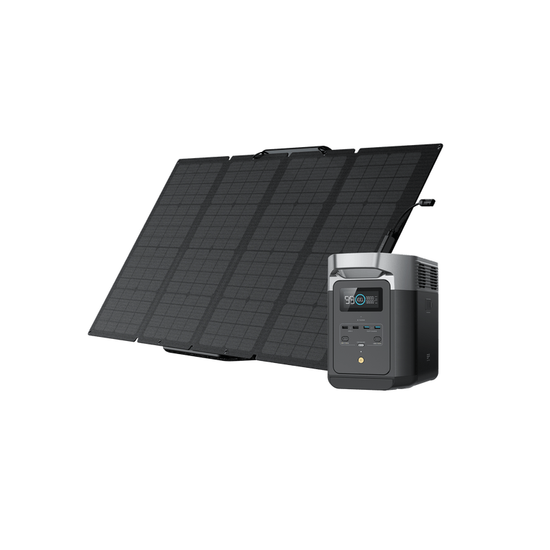 Load image into Gallery viewer, EcoFlow US Bundle 1*160W + DELTA 2 EcoFlow DELTA 2 + 160W Portable Solar Panel
