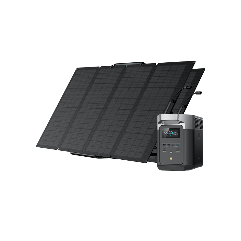 Load image into Gallery viewer, EcoFlow US Bundle 2*160W + DELTA 2 EcoFlow DELTA 2 + 160W Portable Solar Panel
