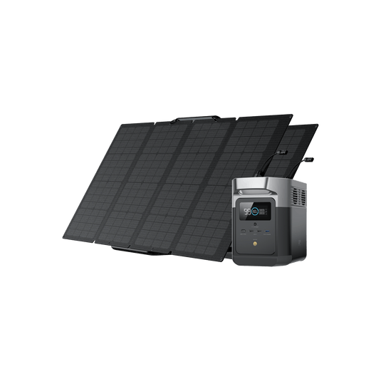 EcoFlow US Bundle 2*160W + DELTA mini EcoFlow DELTA mini + 160W Portable Solar Panel